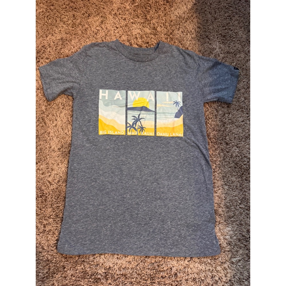 Island Crew Hawaii Graphic T Shirt Gray Short Sleeve Size Small